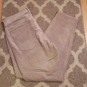Ann Taylor pant